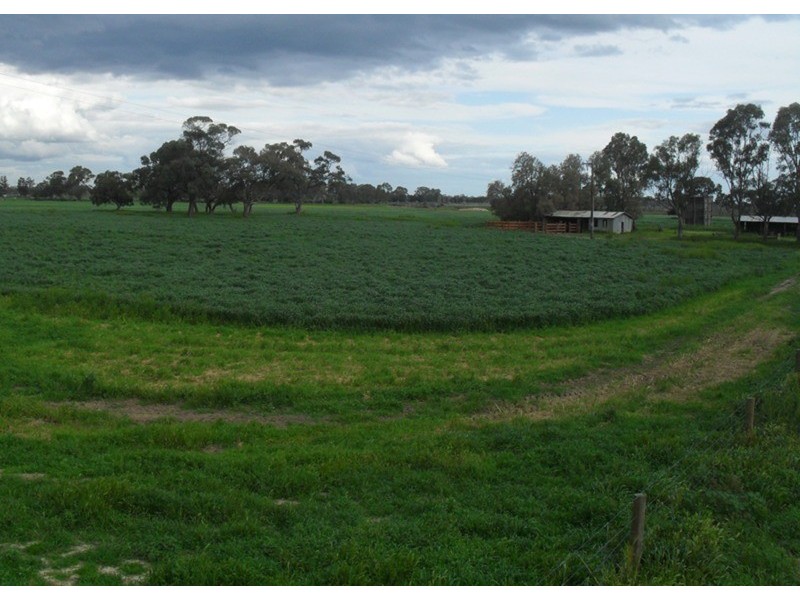 1686 Kerang Koondrook Road, Koondrook VIC 3580