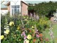 25 Mill Road, Romsey VIC 3434
