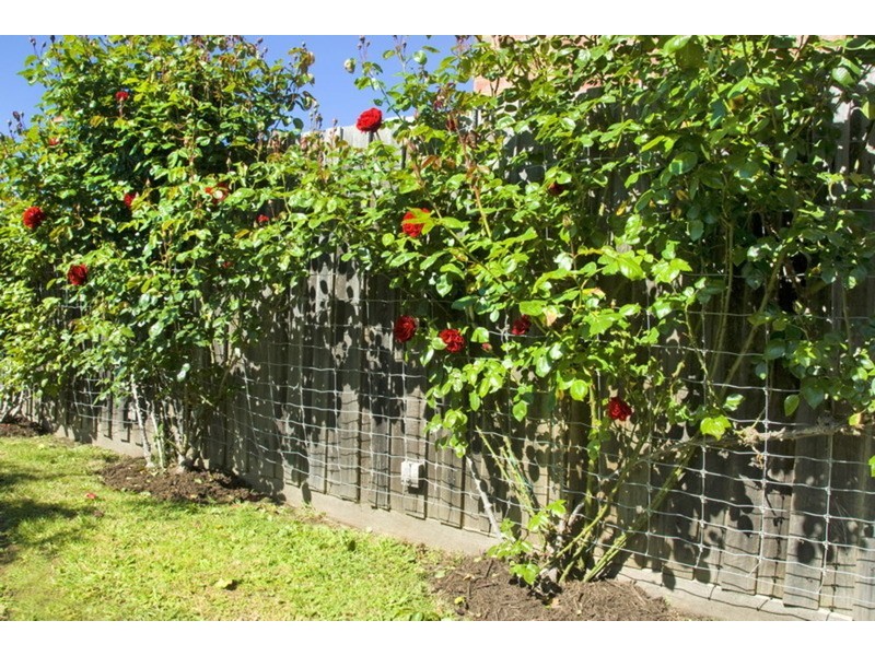 10 Sunny Park Close, Gisborne VIC 3437