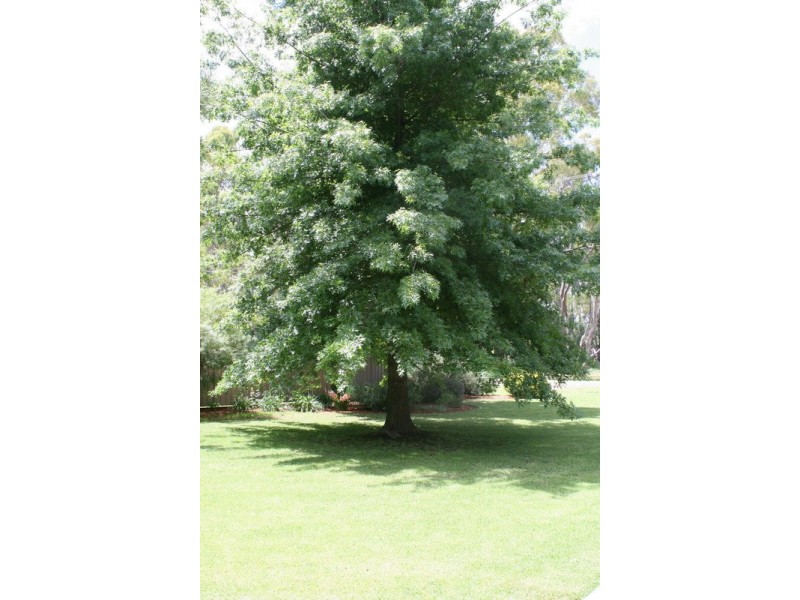 78 Murray Parade, Koondrook VIC 3580