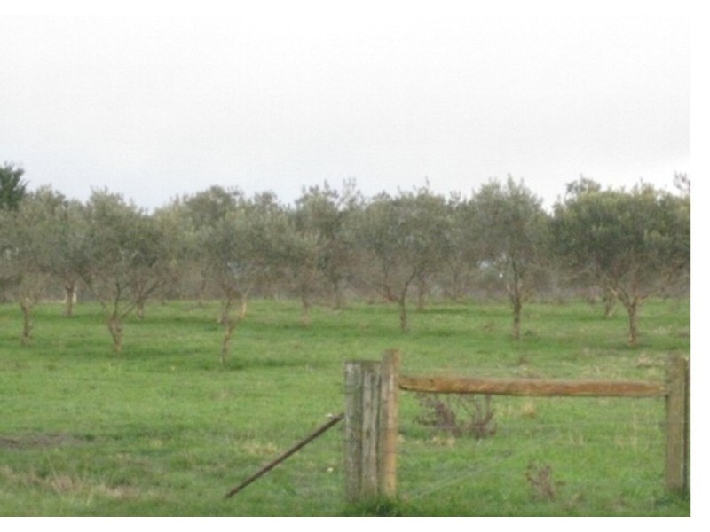 Cnr Parks And Boundary Road, Lancefield VIC 3435