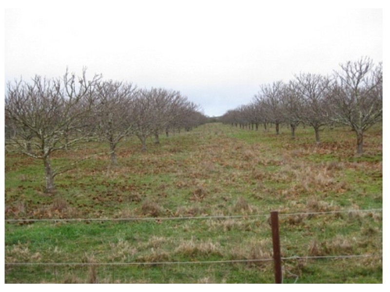 Cnr Parks And Boundary Road, Lancefield VIC 3435