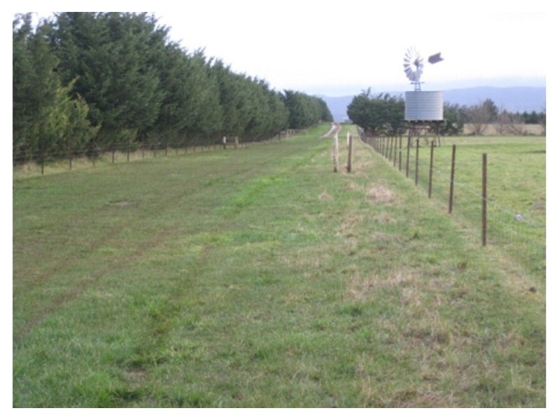 Cnr Parks And Boundary Road, Lancefield VIC 3435