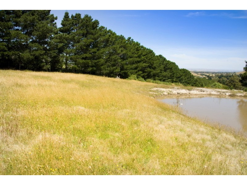 109 Blackhills Road, Gisborne South VIC 3437