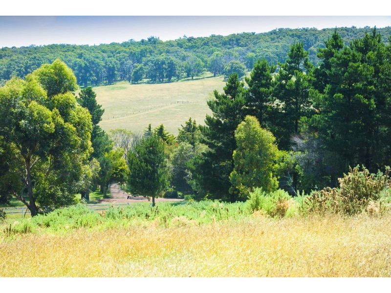 109 Blackhills Road, Gisborne South VIC 3437