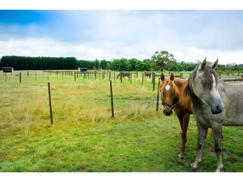 829 Bacchus Marsh Road, Bullengarook VIC 3437