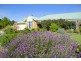 25 Mill Road, Romsey VIC 3434