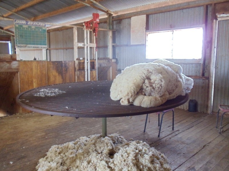 15 Myall Road, Westby VIC 3579