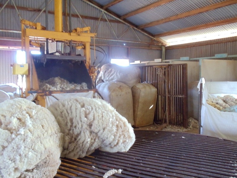 15 Myall Road, Westby VIC 3579