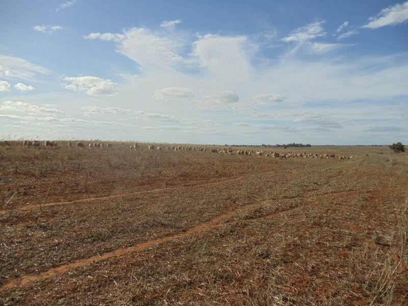 15 Myall Road, Westby VIC 3579