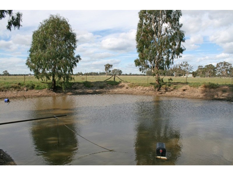 161 Nichol Road, Koondrook VIC 3580