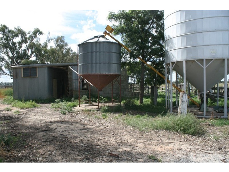 161 Nichol Road, Koondrook VIC 3580