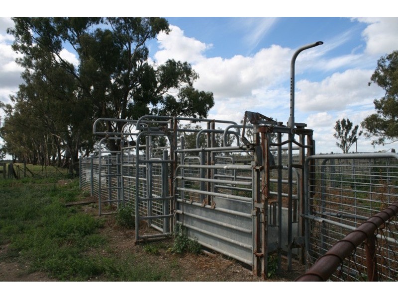 161 Nichol Road, Koondrook VIC 3580