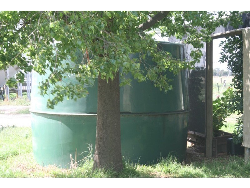 161 Nichol Road, Koondrook VIC 3580