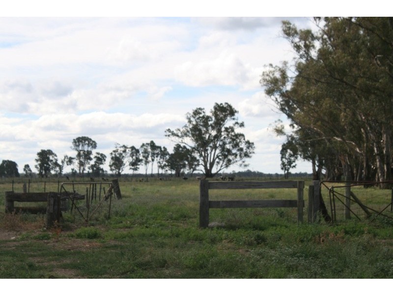 161 Nichol Road, Koondrook VIC 3580