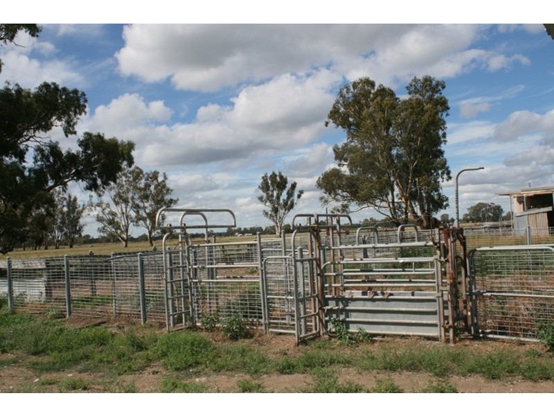 161 Nichol Road, Koondrook VIC 3580