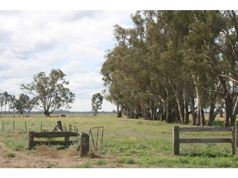 161 Nichol Road, Koondrook VIC 3580