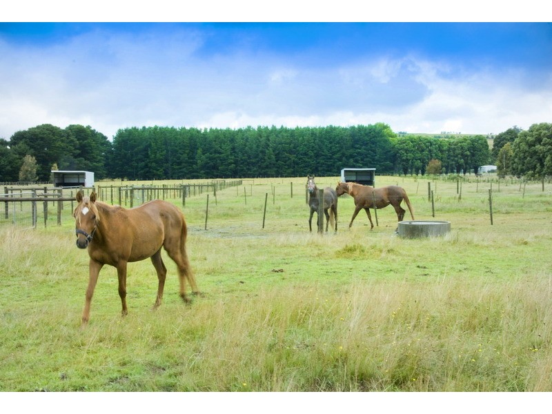 829 Bacchus Marsh Road, Bullengarook VIC 3437