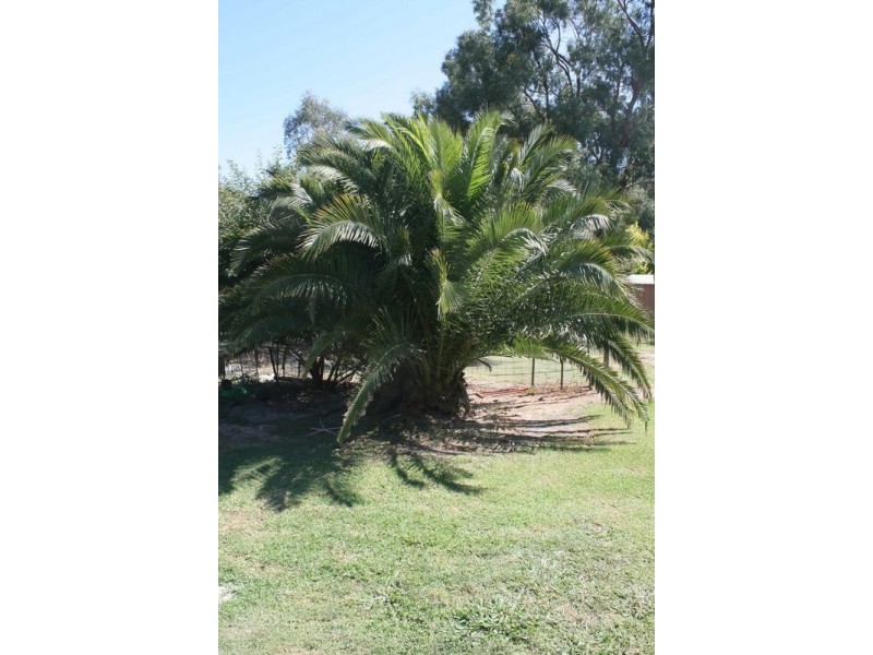 104 Murray Parade, Koondrook VIC 3580