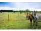 829 Bacchus Marsh Road, Bullengarook VIC 3437