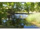 1271 Kilmore Lancefield Road, Springfield VIC 3434