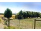 1271 Kilmore Lancefield Road, Springfield VIC 3434