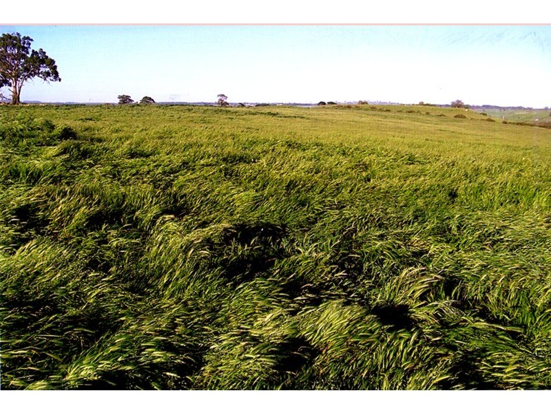 389 Youngs Road, Malmsbury VIC 3446