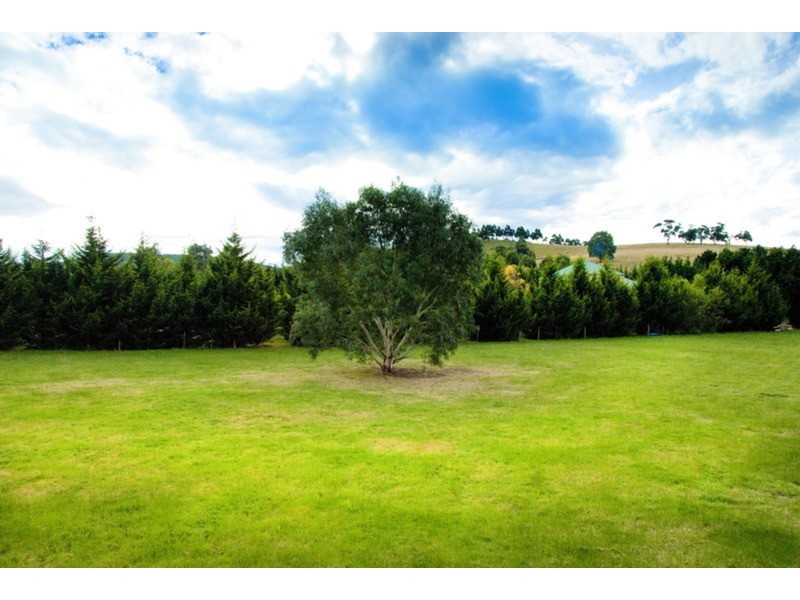 53 Meadowbrook Way, Riddells Creek VIC 3431