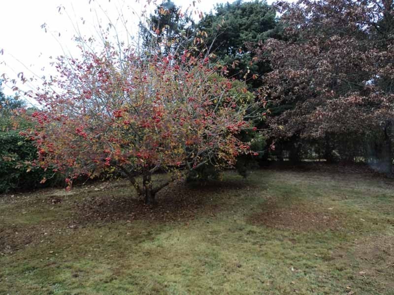 1921 Mount Macedon Road, Woodend VIC 3442