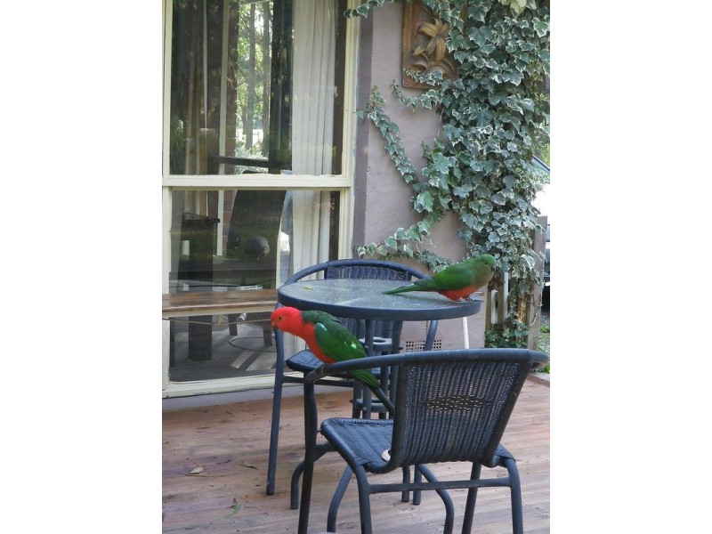 63 Spencer Road, Woodend VIC 3442