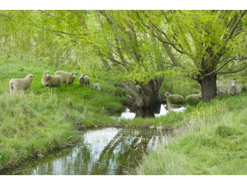 2060 Melbourne – Lancefield Road, Riddells Creek VIC 3431