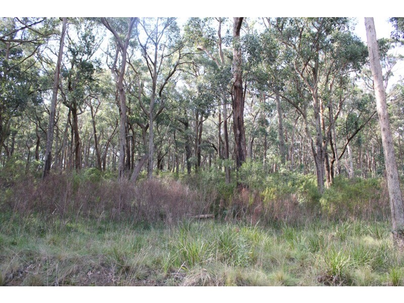 509 Sandy Creek Road, Riddells Creek VIC 3431