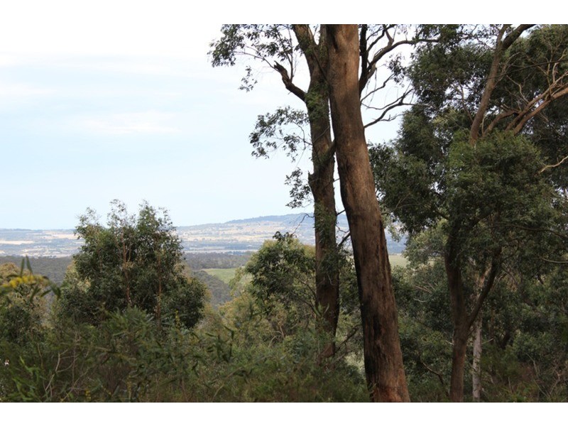 509 Sandy Creek Road, Riddells Creek VIC 3431