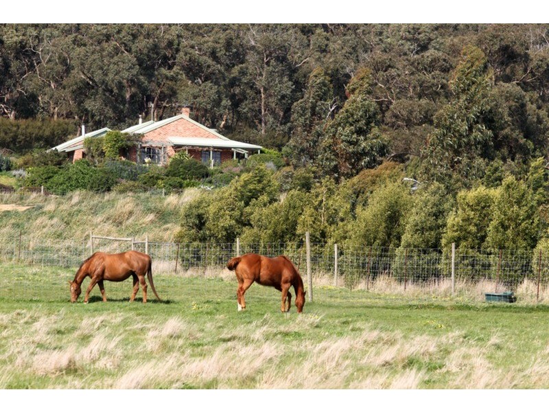 140 Toomeys Lane (via Springfield), Romsey VIC 3434