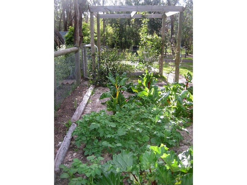 18 Lansdowne Street, Macedon VIC 3440