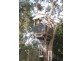 18 Lansdowne Street, Macedon VIC 3440
