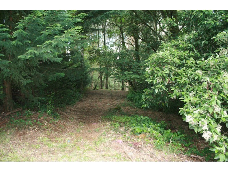 954 Mt Macedon Road, Mount Macedon VIC 3441