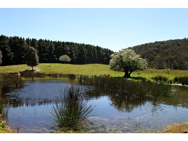 1327 Three Chain Road, Cobaw VIC 3442