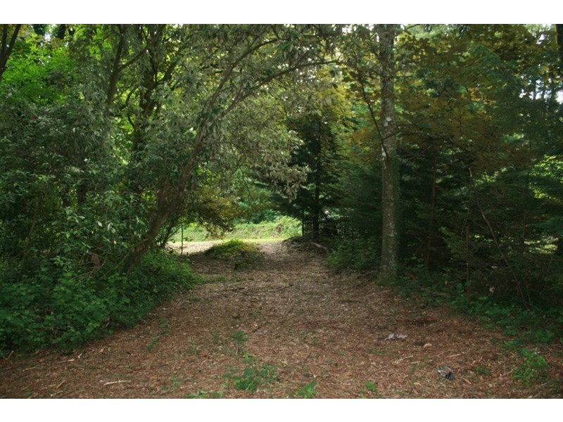 954 Mt Macedon Road, Mount Macedon VIC 3441