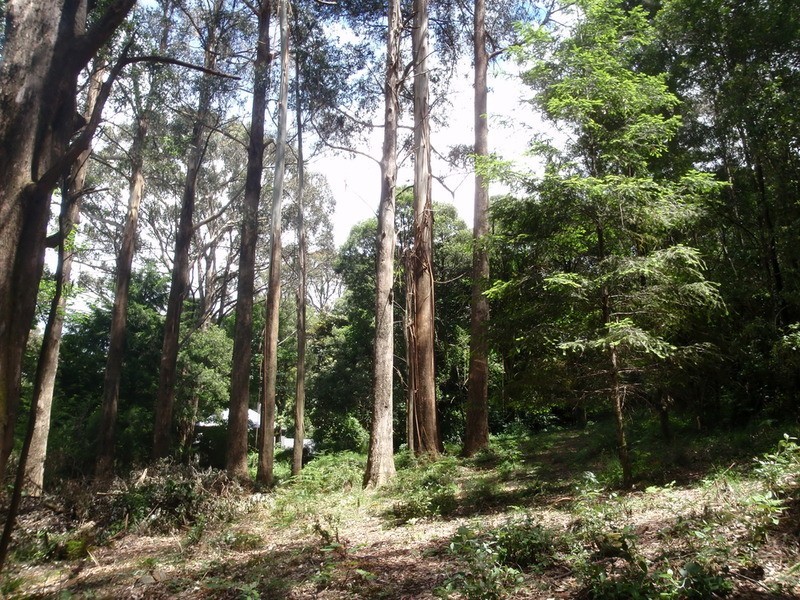 954 Mt Macedon Road, Mount Macedon VIC 3441