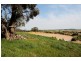 140 Toomeys Lane (via Springfield), Romsey VIC 3434