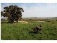 140 Toomeys Lane (via Springfield), Romsey VIC 3434
