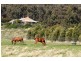 140 Toomeys Lane (via Springfield), Romsey VIC 3434