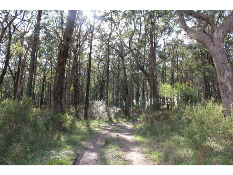 509 Sandy Creek Road, Riddells Creek VIC 3431