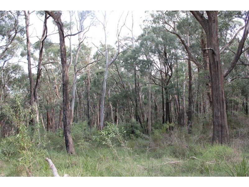 509 Sandy Creek Road, Riddells Creek VIC 3431