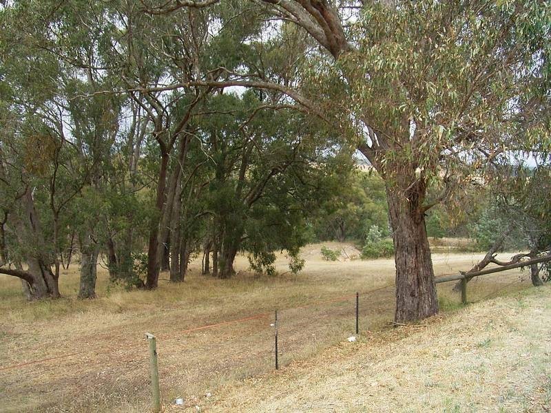 25 Cooraminta Crescent, New Gisborne VIC 3438