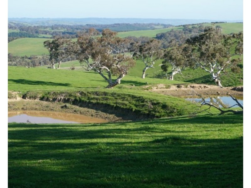 323 Reservoir Road, Myponga SA 5202