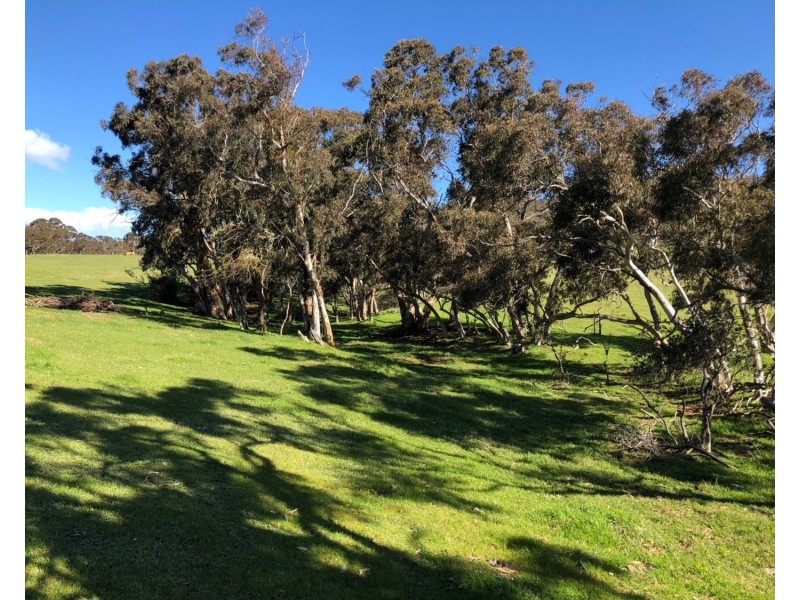 894 Cleland Gully Road, Tooperang SA 5255