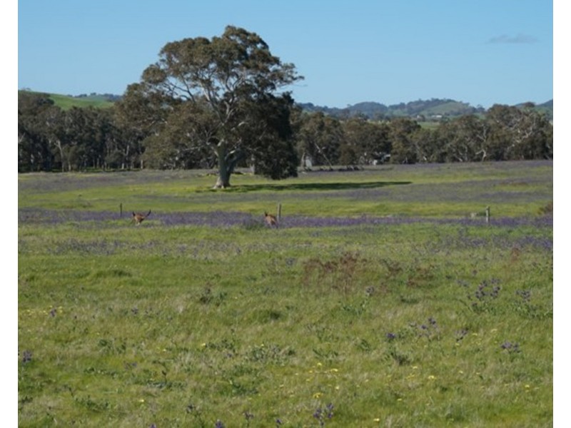 23 Wattle Flat Road, Yankalilla SA 5203