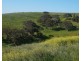 Lot 532 Whitelaw Road, Carrickalinga SA 5204